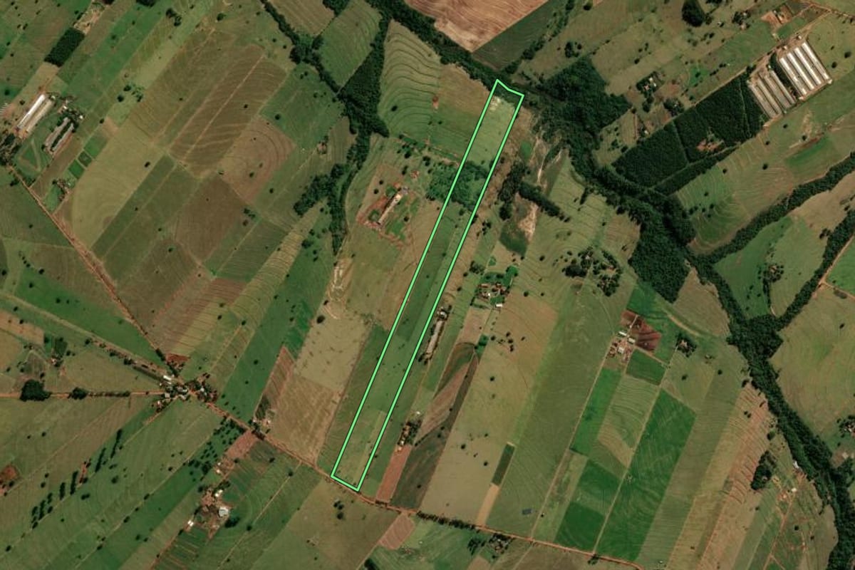 Imagem de satélite do imóvel rural em Cianorte (PR), com o contorno declarado no CAR desenhado por cima.