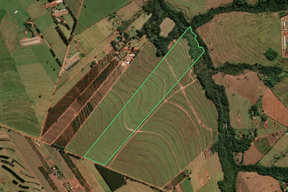 Imagem de satélite do imóvel rural em Cianorte (PR), com o contorno declarado no CAR desenhado por cima.