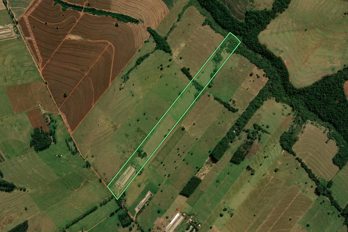 Imagem de satélite do imóvel rural em Cianorte (PR), com o contorno declarado no CAR desenhado por cima.