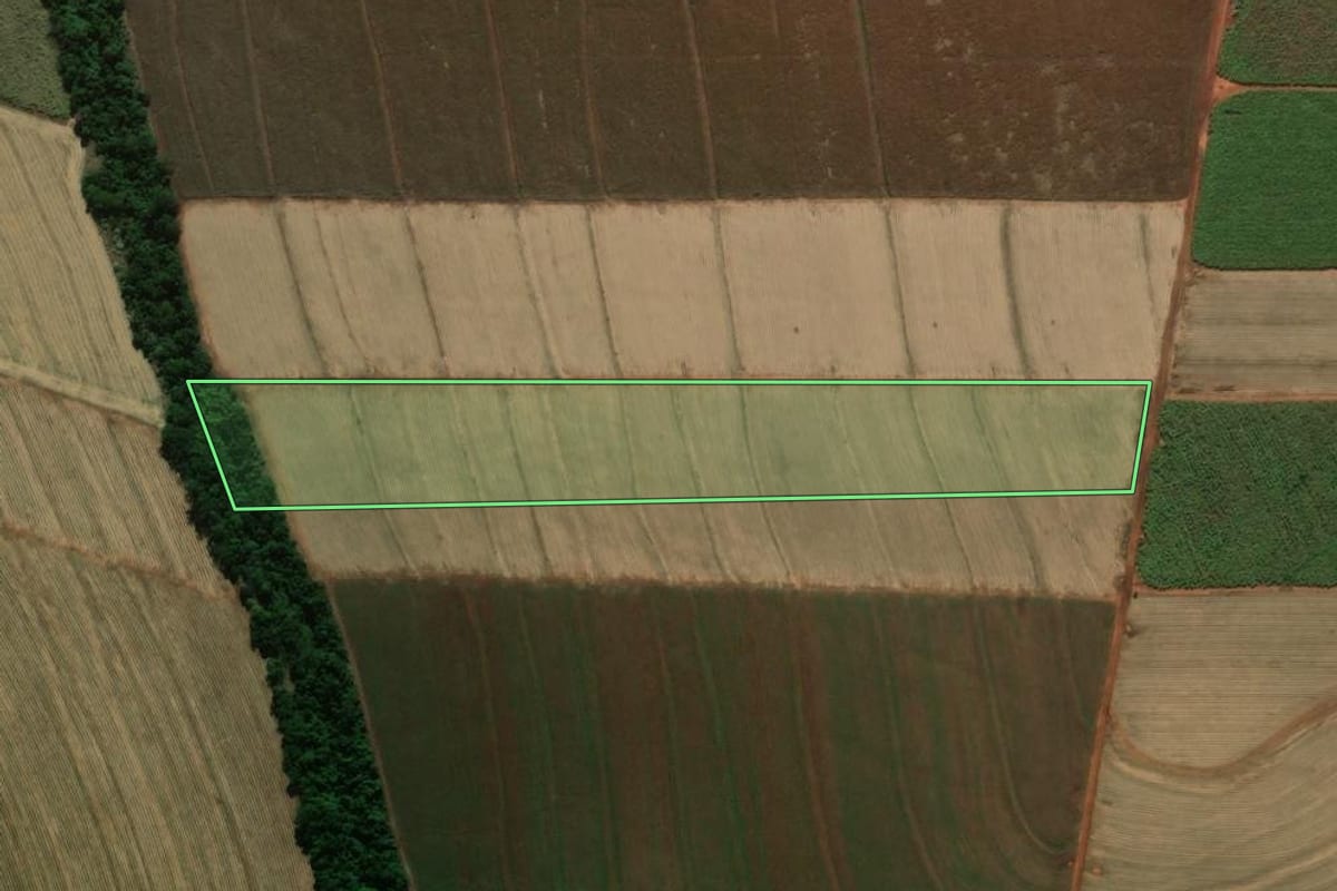 Imagem de satélite do imóvel rural em Cianorte (PR), com o contorno declarado no CAR desenhado por cima.