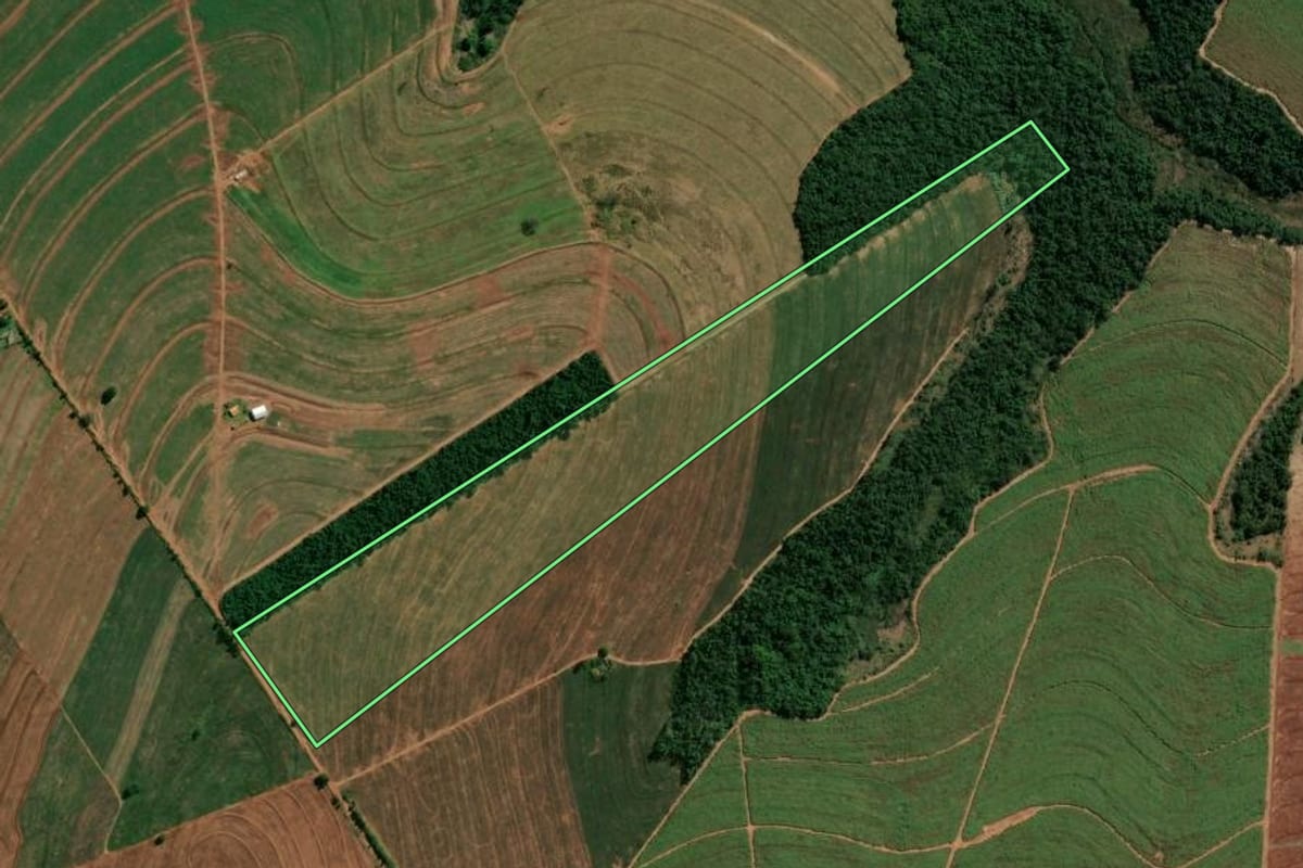 Imagem de satélite do imóvel rural em Cianorte (PR), com o contorno declarado no CAR desenhado por cima.