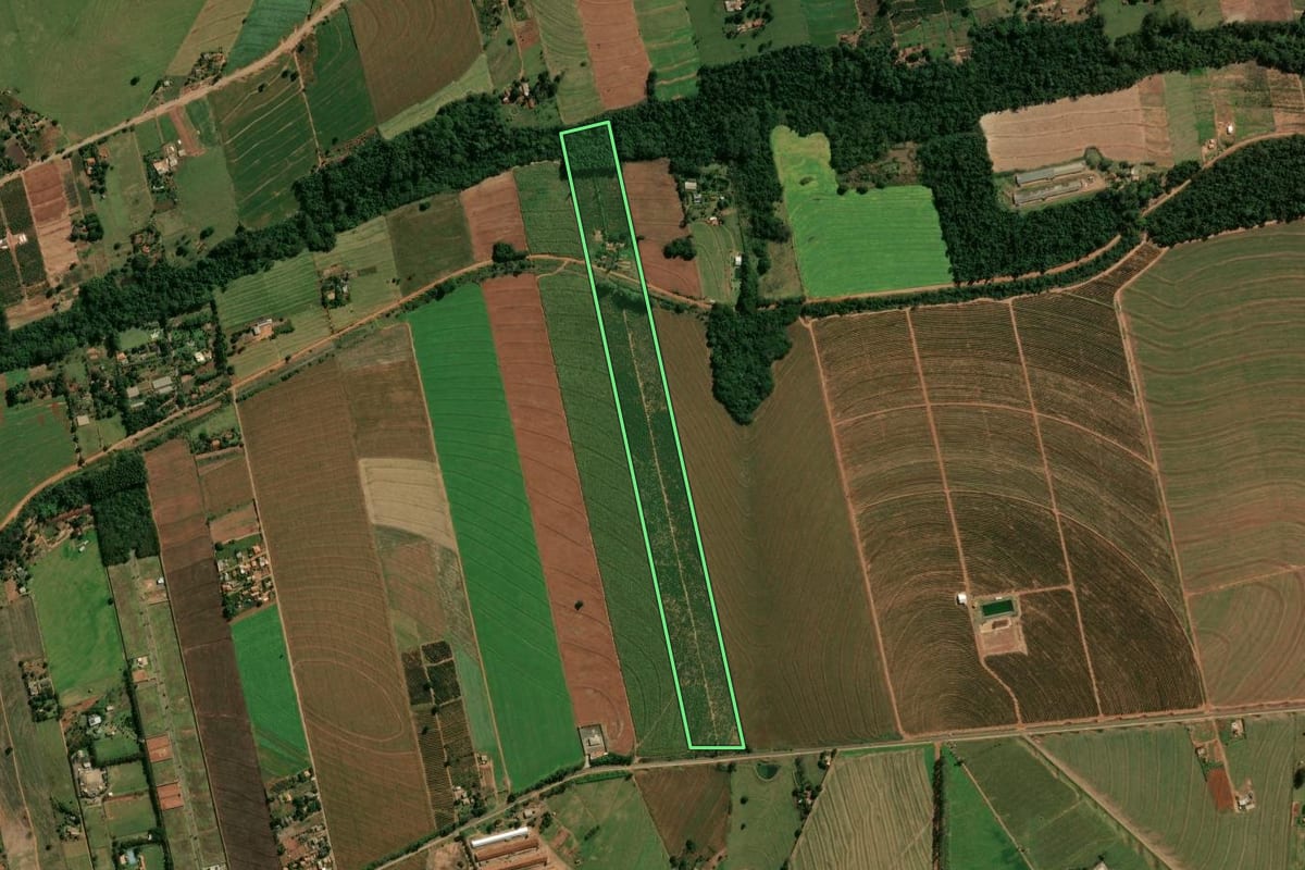 Imagem de satélite do imóvel rural em Cianorte (PR), com o contorno declarado no CAR desenhado por cima.