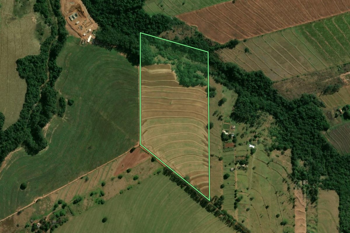 Imagem de satélite do imóvel rural em Cianorte (PR), com o contorno declarado no CAR desenhado por cima.