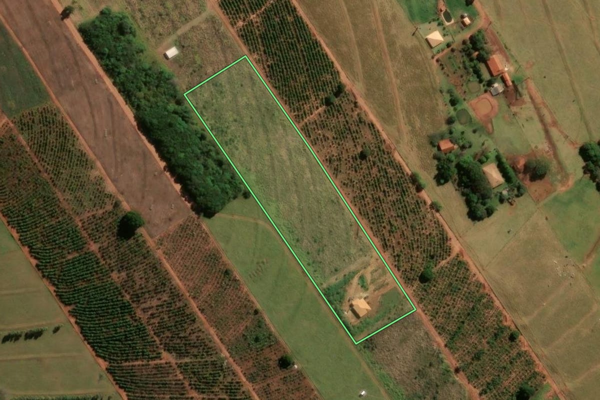 Imagem de satélite do imóvel rural em Cianorte (PR), com o contorno declarado no CAR desenhado por cima.