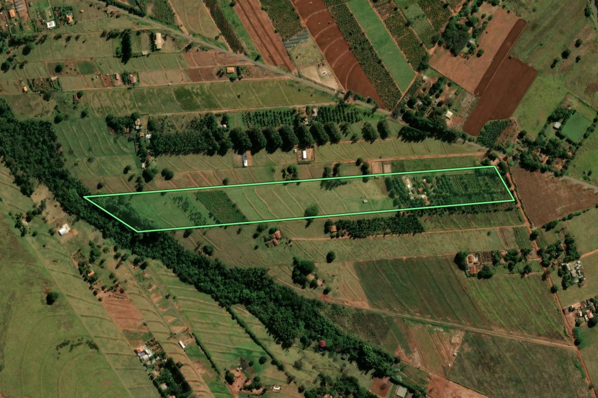 Imagem de satélite do imóvel rural em Cianorte (PR), com o contorno declarado no CAR desenhado por cima.