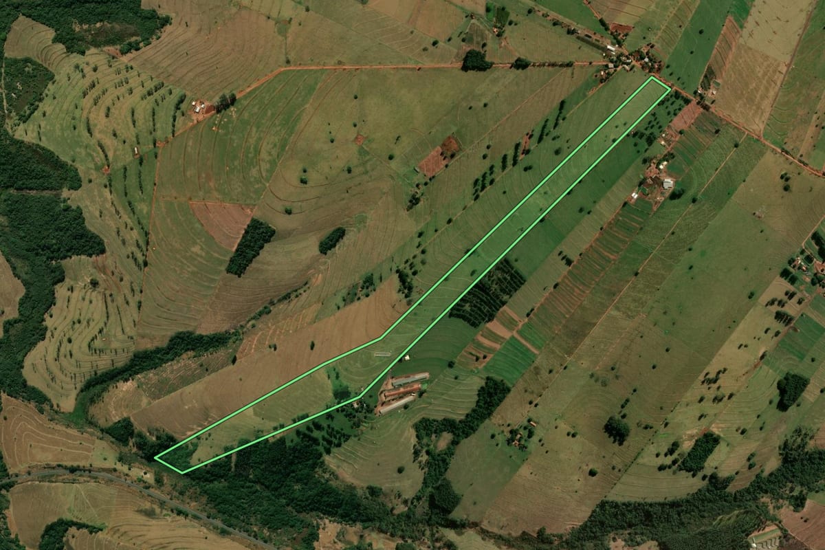 Imagem de satélite do imóvel rural em Cianorte (PR), com o contorno declarado no CAR desenhado por cima.