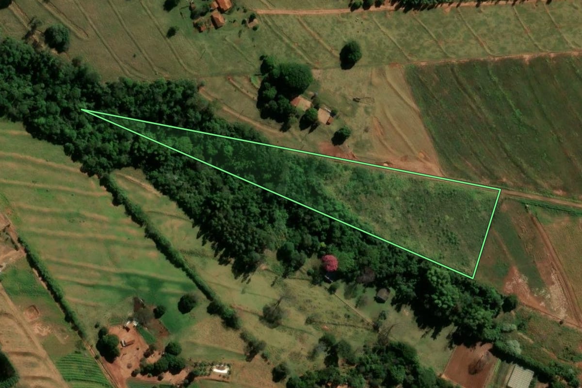 Imagem de satélite do imóvel rural em Cianorte (PR), com o contorno declarado no CAR desenhado por cima.