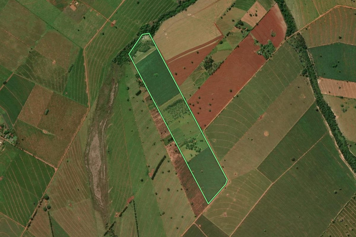 Imagem de satélite do imóvel rural em Cidade Gaúcha (PR), com o contorno declarado no CAR desenhado por cima.