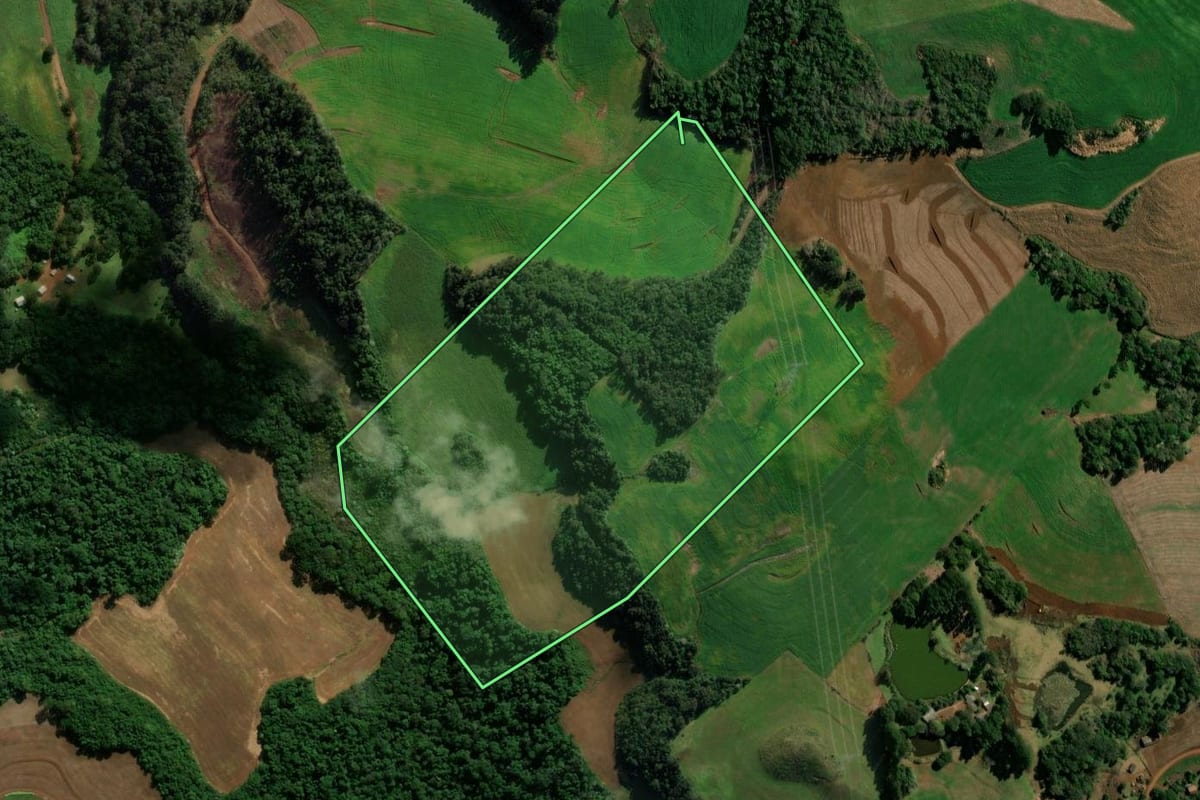 Imagem de satélite do imóvel rural em Clevelândia (PR), com o contorno declarado no CAR desenhado por cima.