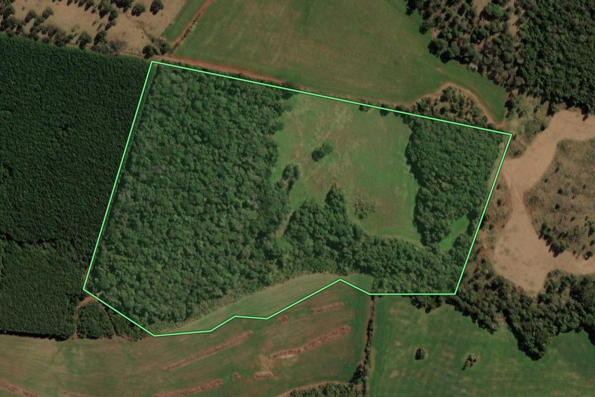 Imagem de satélite do imóvel rural em Clevelândia (PR), com o contorno declarado no CAR desenhado por cima.