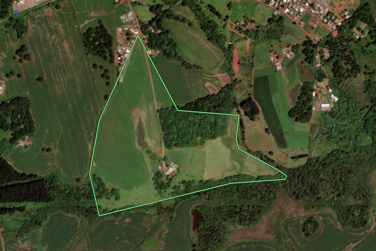 Imagem de satélite do imóvel rural em Clevelândia (PR), com o contorno declarado no CAR desenhado por cima.