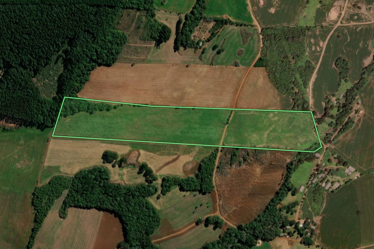 Imagem de satélite do imóvel rural em Clevelândia (PR), com o contorno declarado no CAR desenhado por cima.