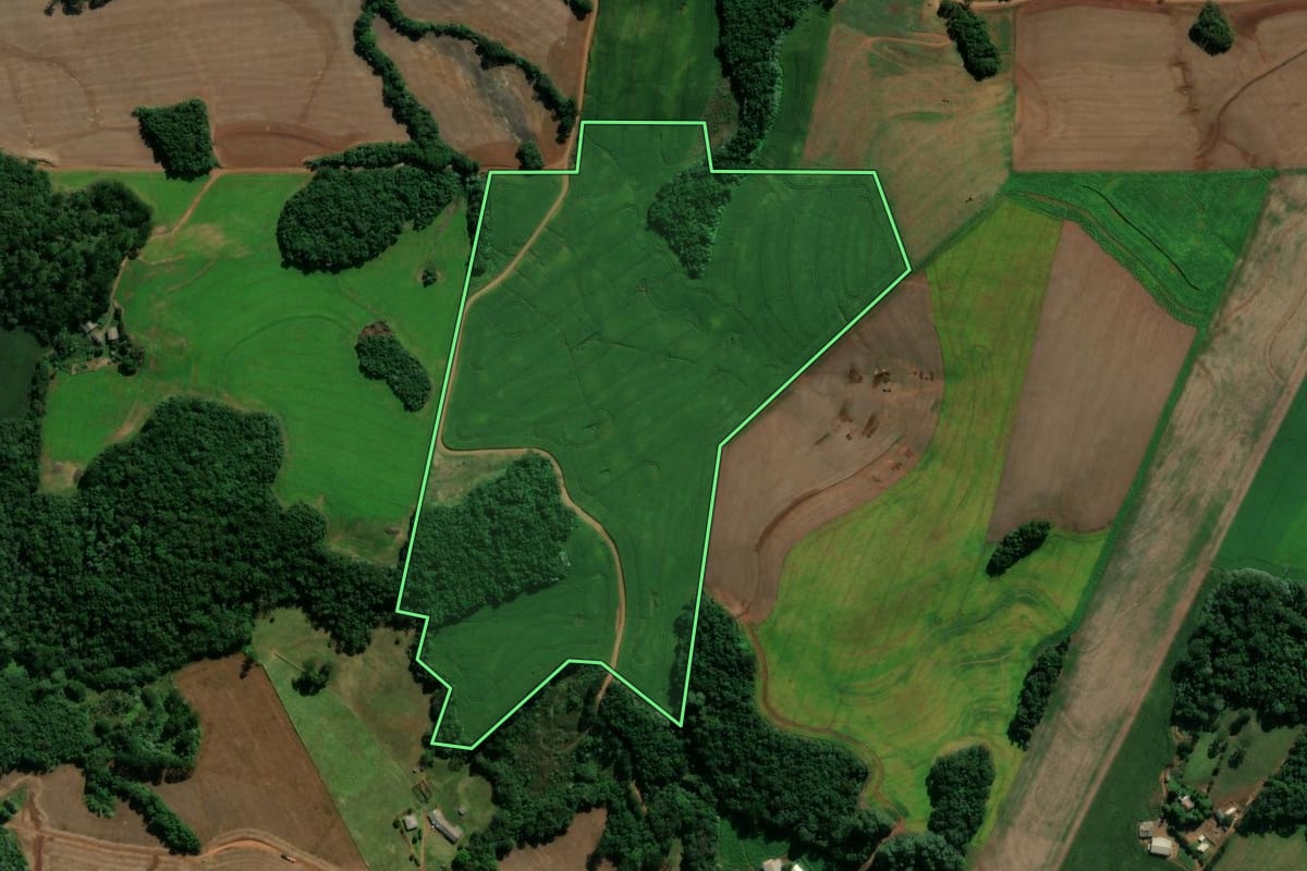 Imagem de satélite do imóvel rural em Clevelândia (PR), com o contorno declarado no CAR desenhado por cima.