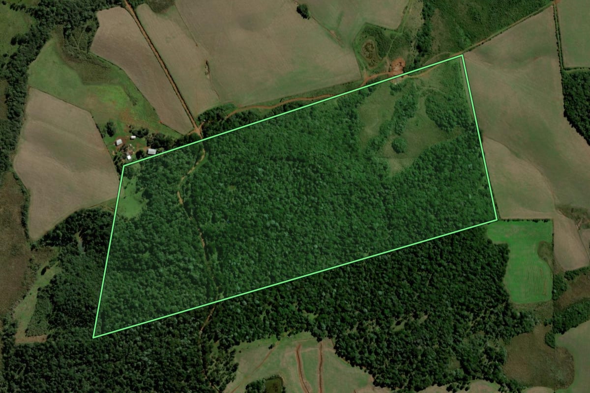 Imagem de satélite do imóvel rural em Clevelândia (PR), com o contorno declarado no CAR desenhado por cima.