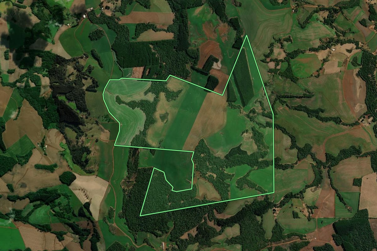 Imagem de satélite do imóvel rural em Clevelândia (PR), com o contorno declarado no CAR desenhado por cima.