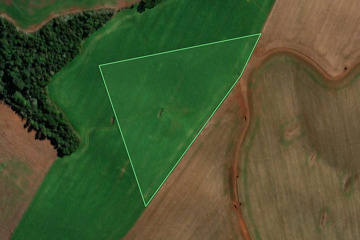 Imagem de satélite do imóvel rural em Clevelândia (PR), com o contorno declarado no CAR desenhado por cima.