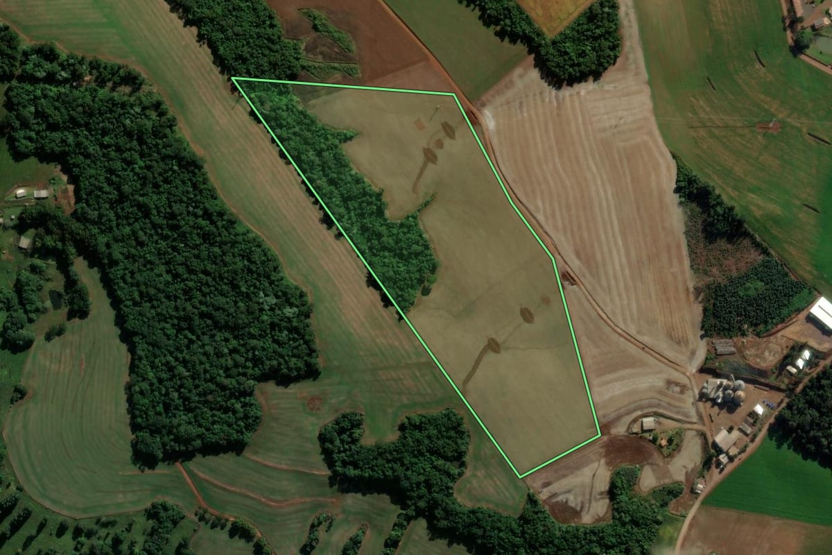 Imagem de satélite do imóvel rural em Clevelândia (PR), com o contorno declarado no CAR desenhado por cima.