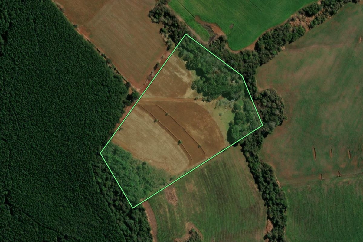 Imagem de satélite do imóvel rural em Clevelândia (PR), com o contorno declarado no CAR desenhado por cima.