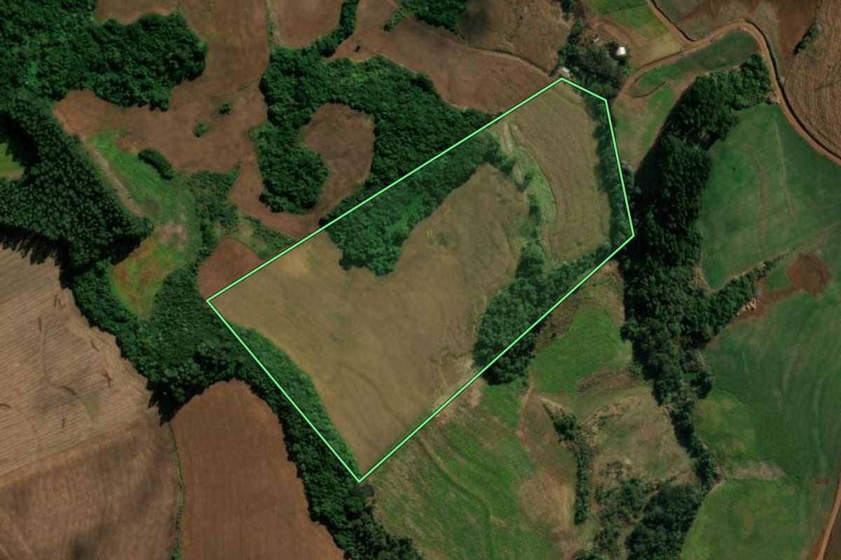 Imagem de satélite do imóvel rural em Clevelândia (PR), com o contorno declarado no CAR desenhado por cima.