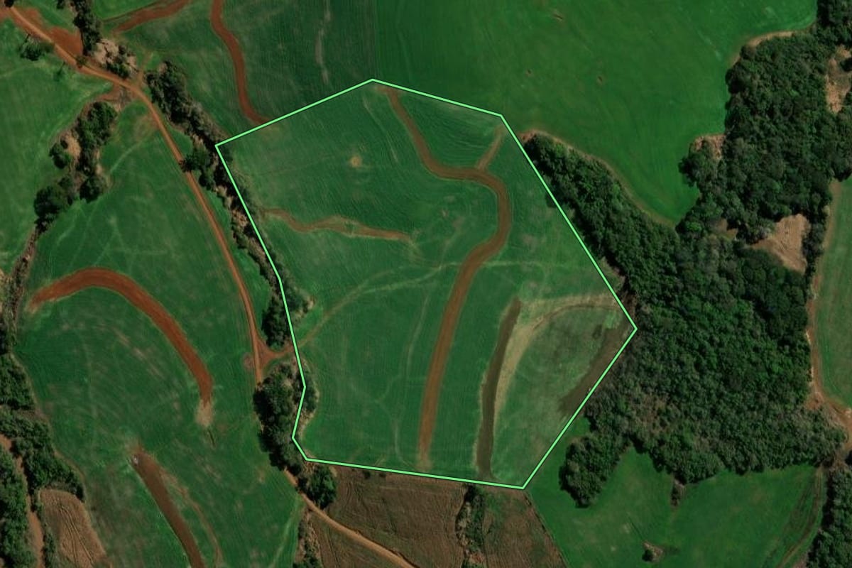 Imagem de satélite do imóvel rural em Clevelândia (PR), com o contorno declarado no CAR desenhado por cima.