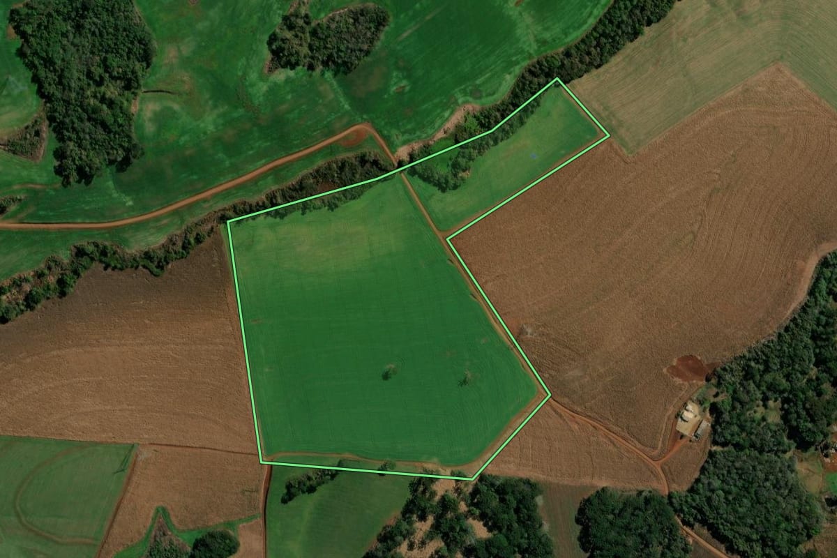 Imagem de satélite do imóvel rural em Clevelândia (PR), com o contorno declarado no CAR desenhado por cima.