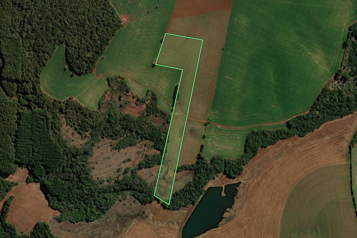 Imagem de satélite do imóvel rural em Clevelândia (PR), com o contorno declarado no CAR desenhado por cima.