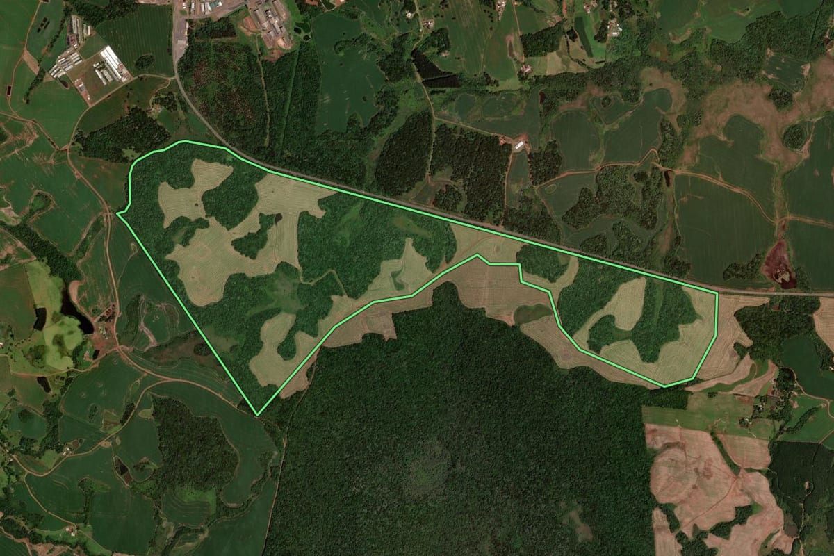 Imagem de satélite do imóvel rural em Clevelândia (PR), com o contorno declarado no CAR desenhado por cima.