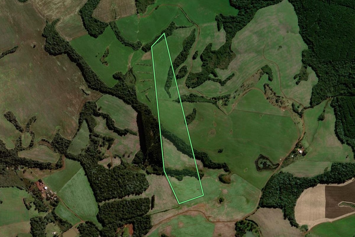 Imagem de satélite do imóvel rural em Clevelândia (PR), com o contorno declarado no CAR desenhado por cima.