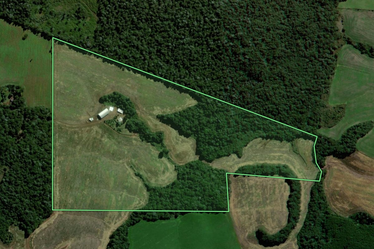 Imagem de satélite do imóvel rural em Clevelândia (PR), com o contorno declarado no CAR desenhado por cima.