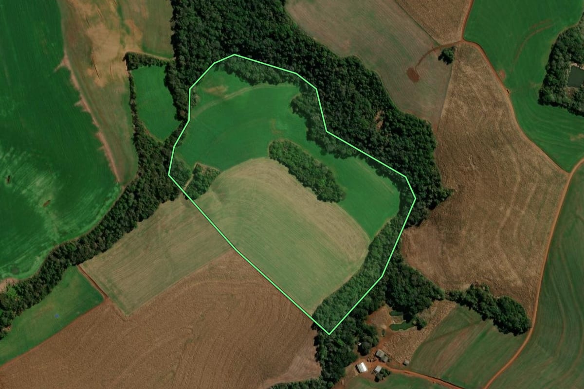 Imagem de satélite do imóvel rural em Clevelândia (PR), com o contorno declarado no CAR desenhado por cima.