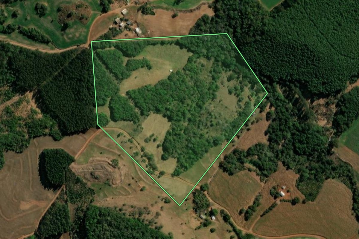 Imagem de satélite do imóvel rural em Clevelândia (PR), com o contorno declarado no CAR desenhado por cima.