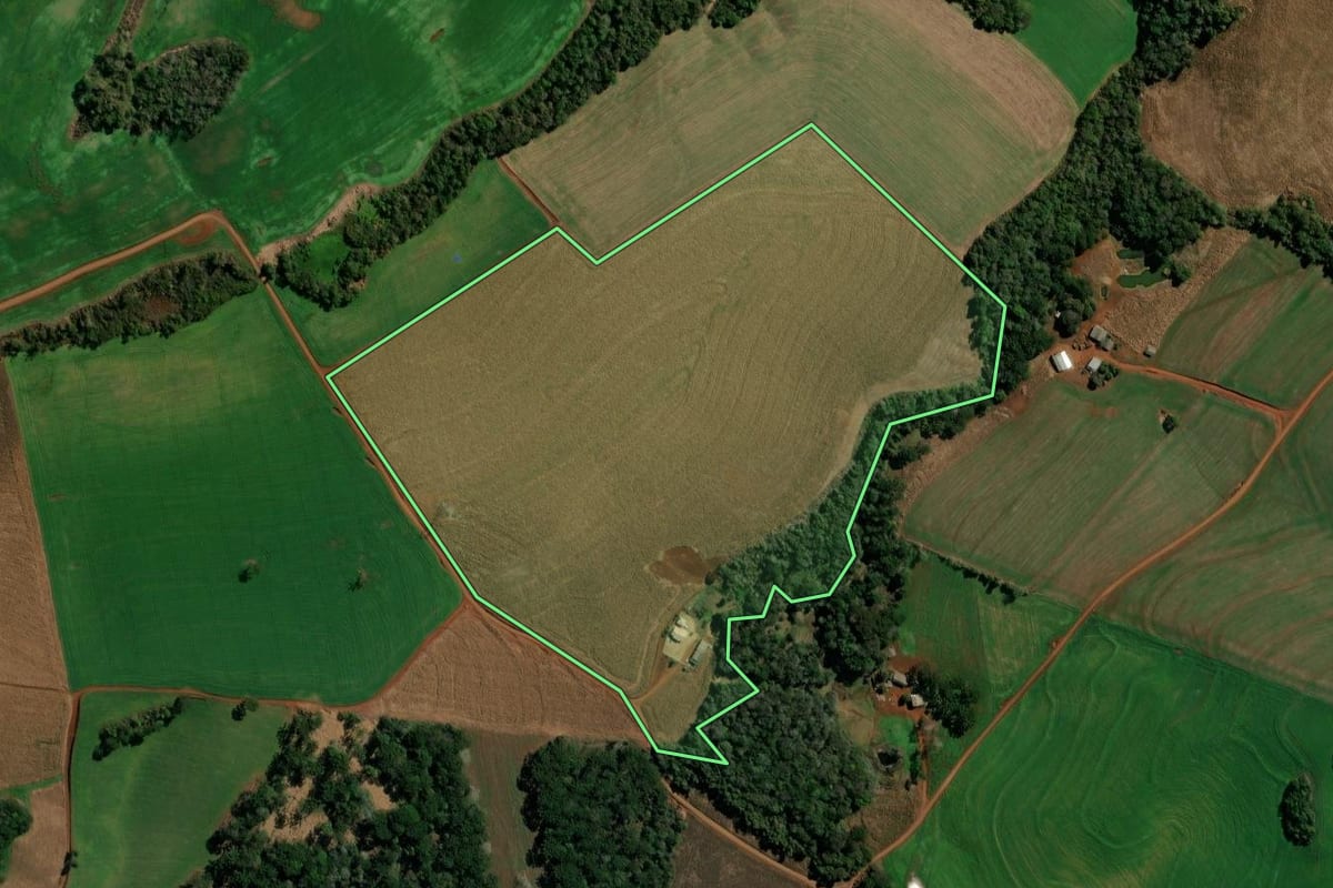 Imagem de satélite do imóvel rural em Clevelândia (PR), com o contorno declarado no CAR desenhado por cima.
