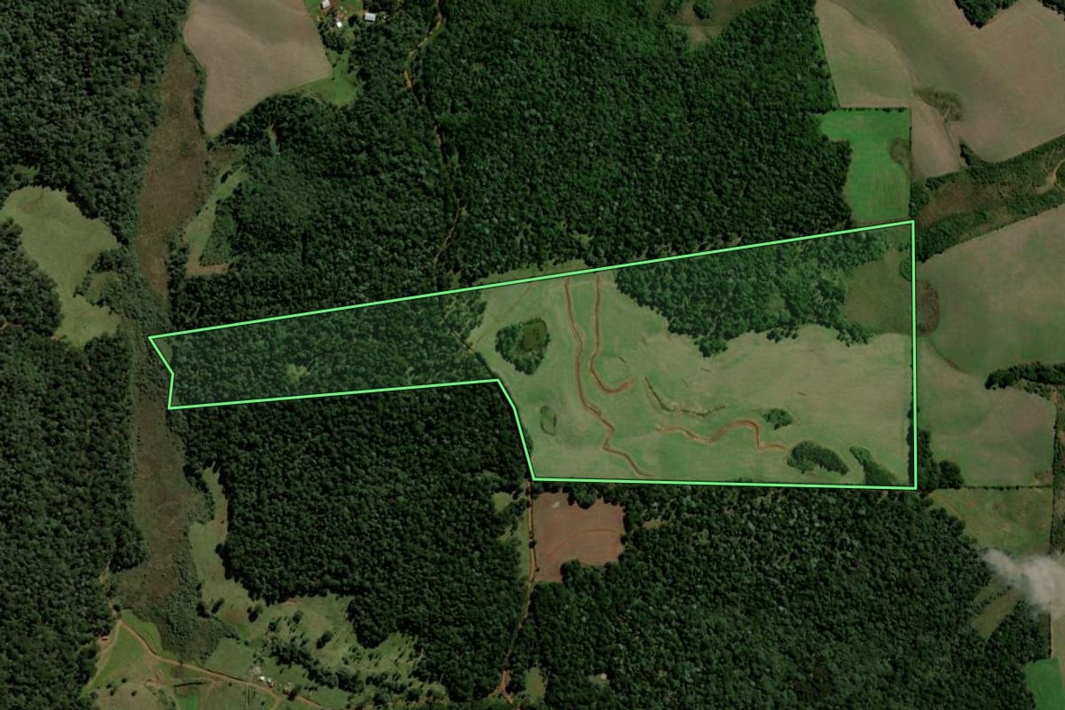 Imagem de satélite do imóvel rural em Clevelândia (PR), com o contorno declarado no CAR desenhado por cima.