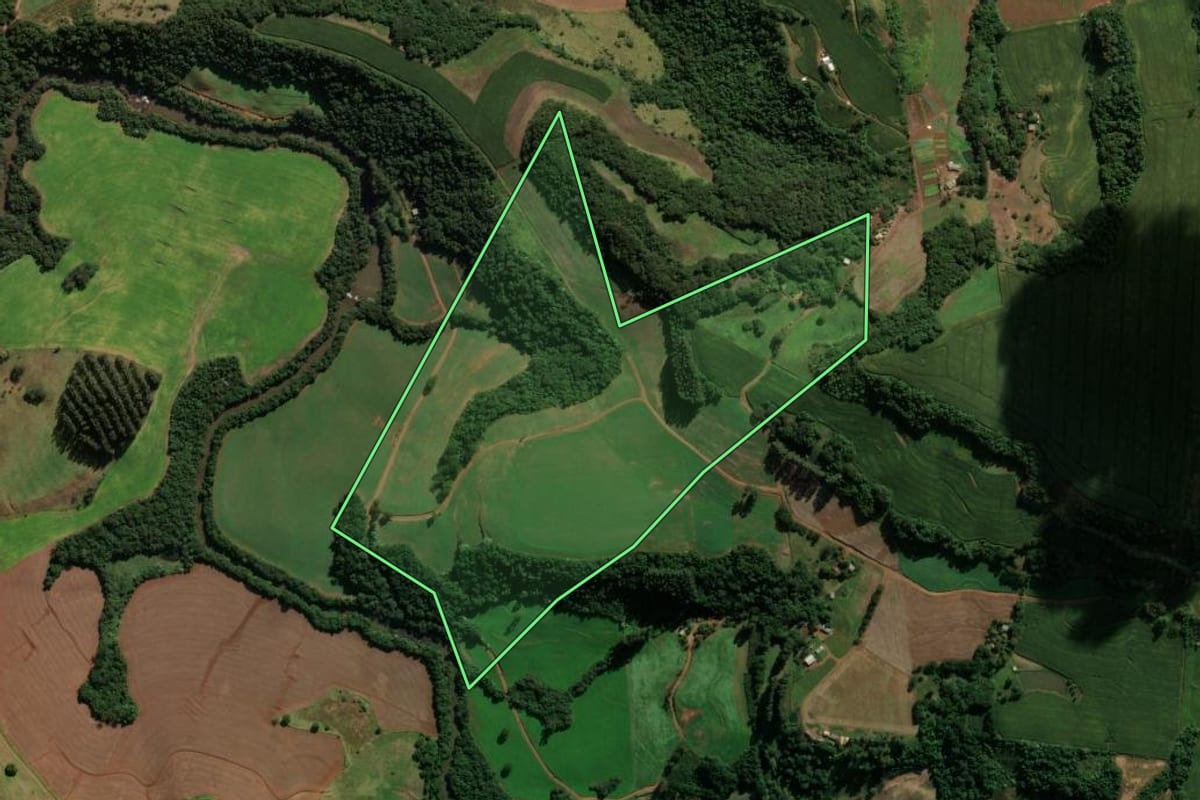 Imagem de satélite do imóvel rural em Clevelândia (PR), com o contorno declarado no CAR desenhado por cima.