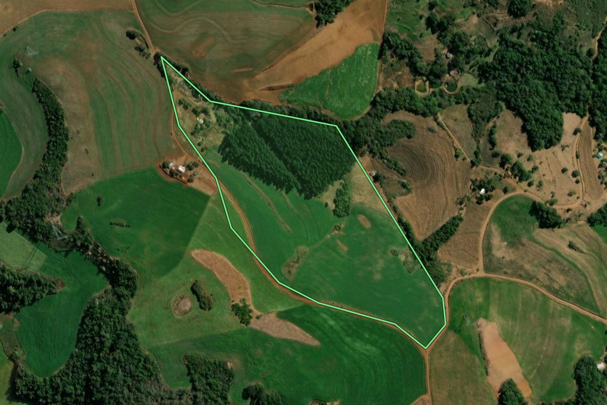 Imagem de satélite do imóvel rural em Clevelândia (PR), com o contorno declarado no CAR desenhado por cima.