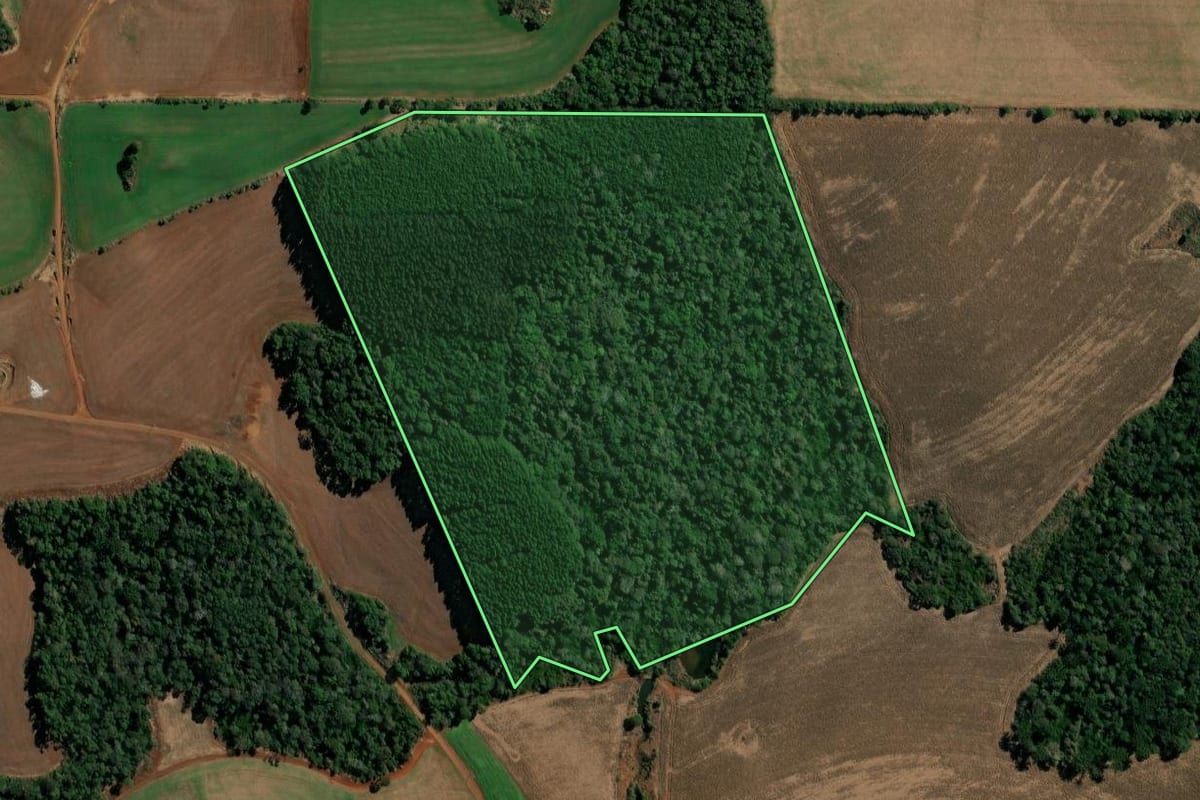 Imagem de satélite do imóvel rural em Clevelândia (PR), com o contorno declarado no CAR desenhado por cima.