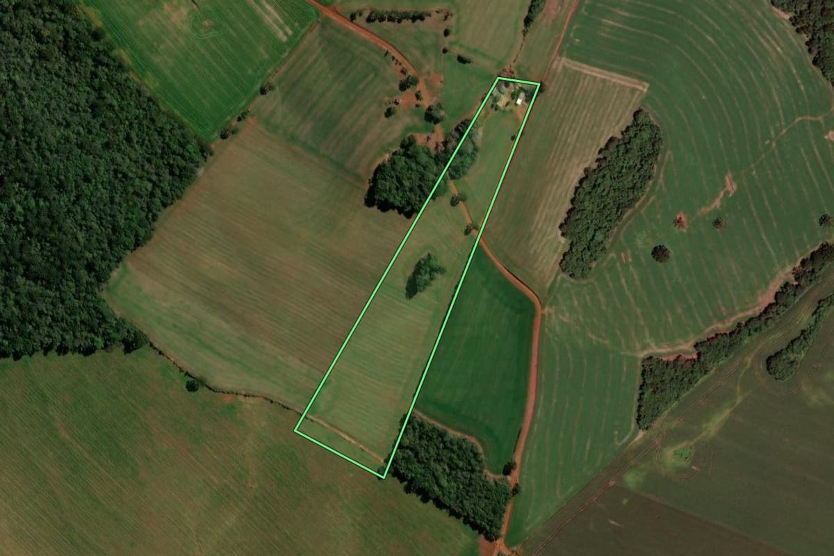 Imagem de satélite do imóvel rural em Clevelândia (PR), com o contorno declarado no CAR desenhado por cima.