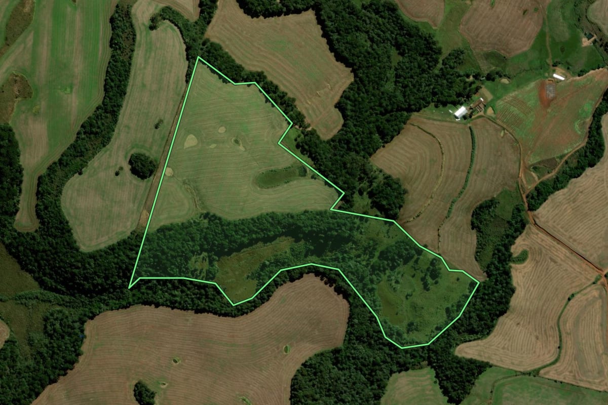 Imagem de satélite do imóvel rural em Clevelândia (PR), com o contorno declarado no CAR desenhado por cima.