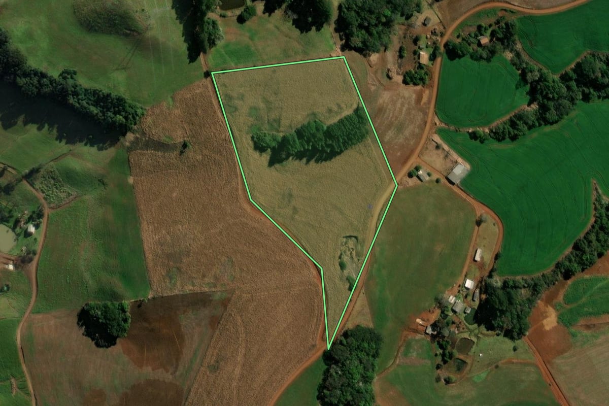 Imagem de satélite do imóvel rural em Clevelândia (PR), com o contorno declarado no CAR desenhado por cima.
