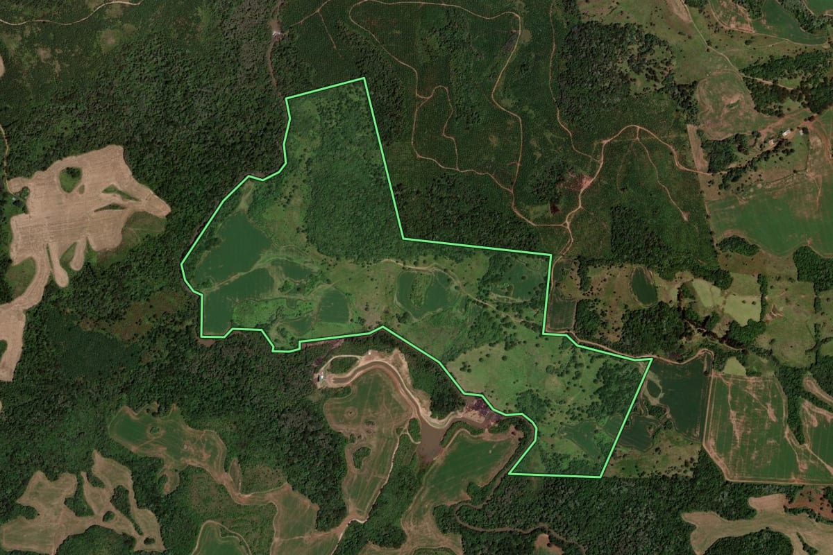 Imagem de satélite do imóvel rural em Clevelândia (PR), com o contorno declarado no CAR desenhado por cima.