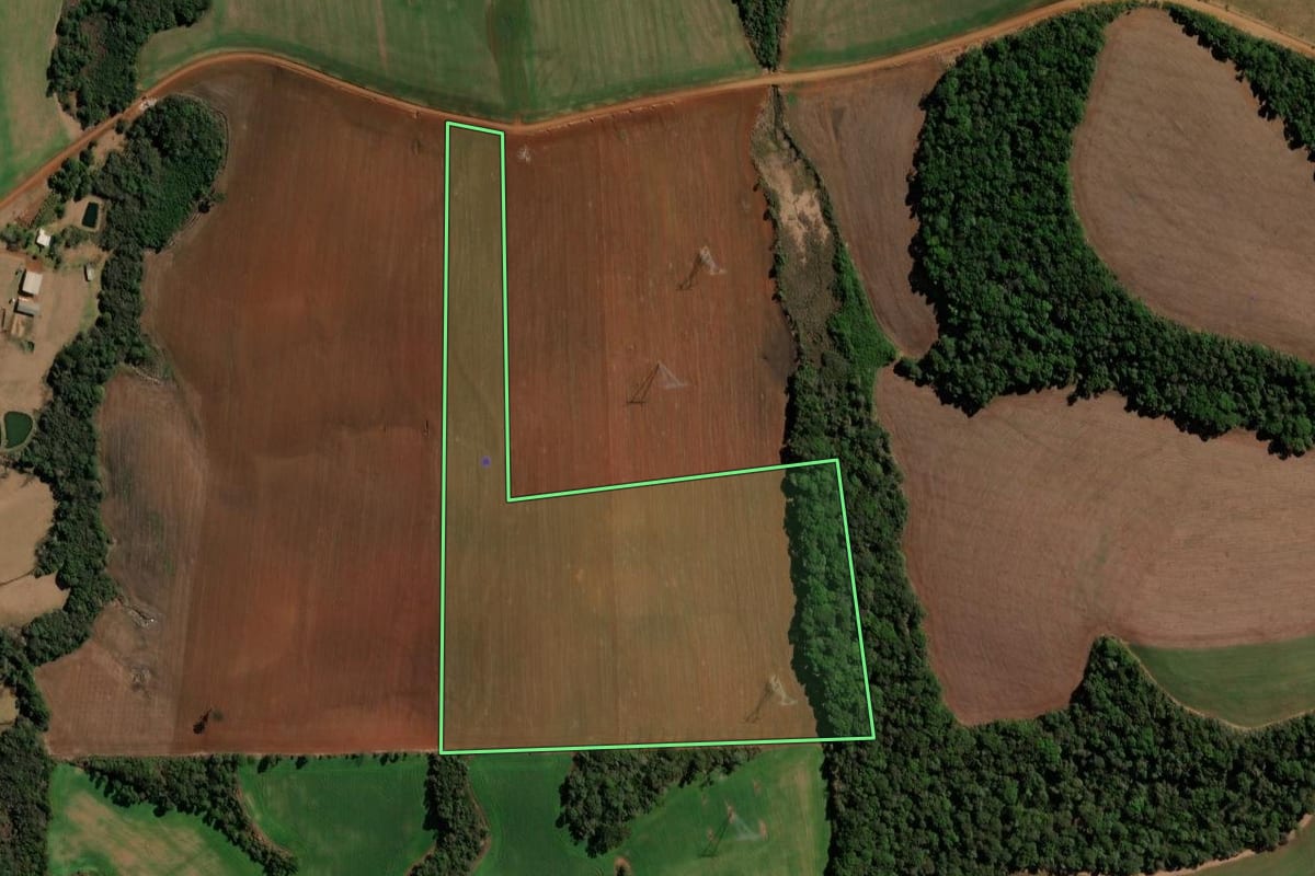 Imagem de satélite do imóvel rural em Clevelândia (PR), com o contorno declarado no CAR desenhado por cima.