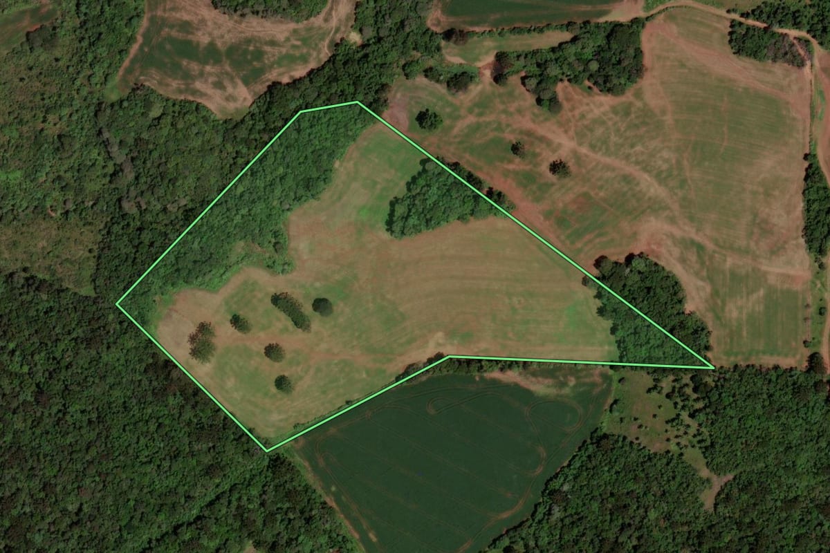 Imagem de satélite do imóvel rural em Clevelândia (PR), com o contorno declarado no CAR desenhado por cima.