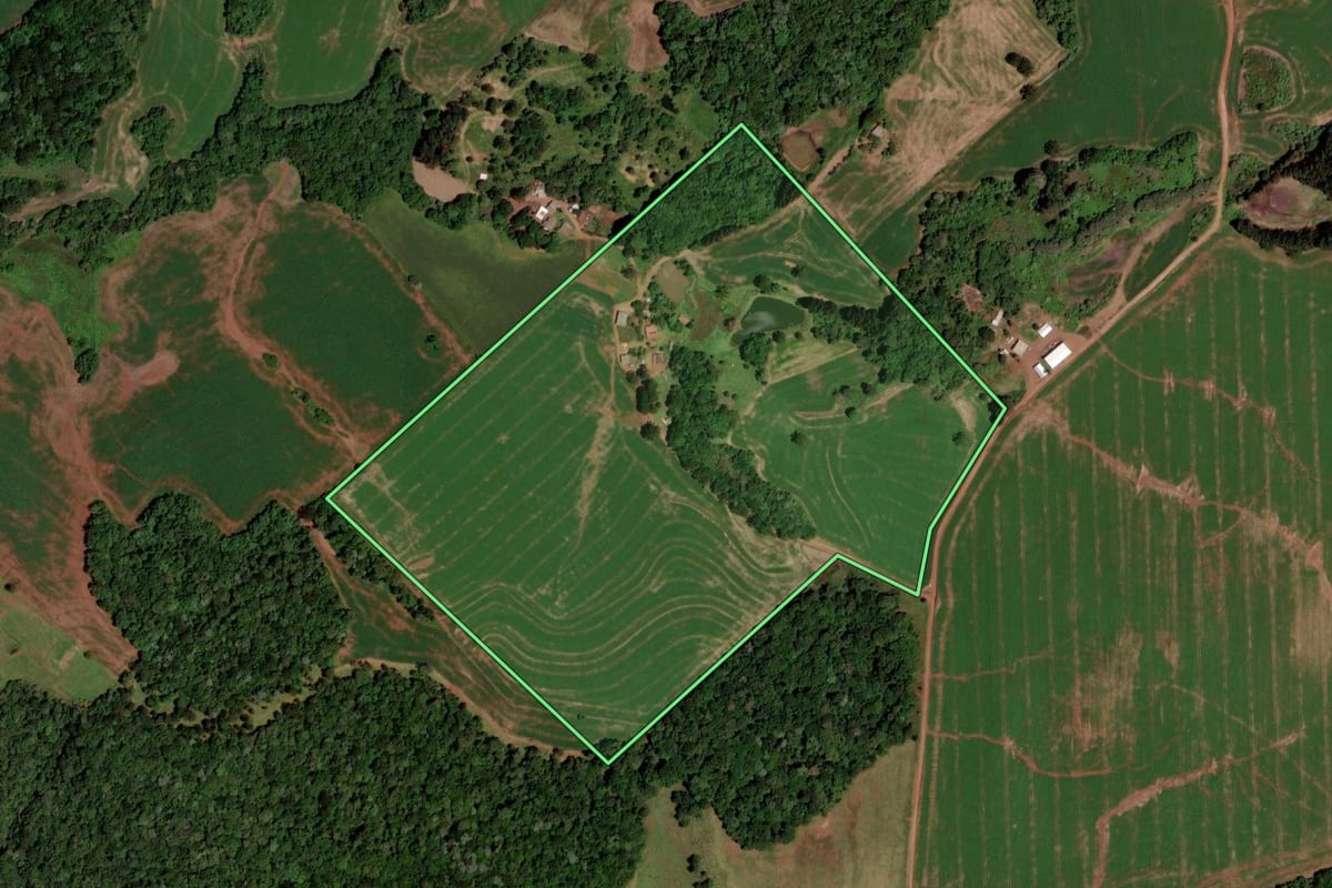 Imagem de satélite do imóvel rural em Clevelândia (PR), com o contorno declarado no CAR desenhado por cima.