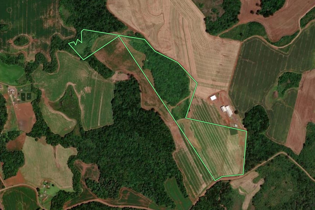 Imagem de satélite do imóvel rural em Clevelândia (PR), com o contorno declarado no CAR desenhado por cima.