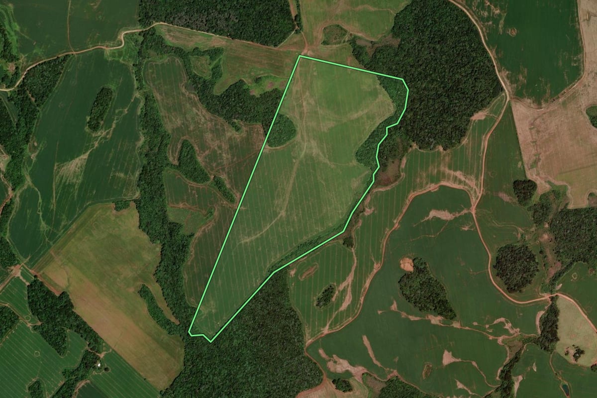 Imagem de satélite do imóvel rural em Clevelândia (PR), com o contorno declarado no CAR desenhado por cima.