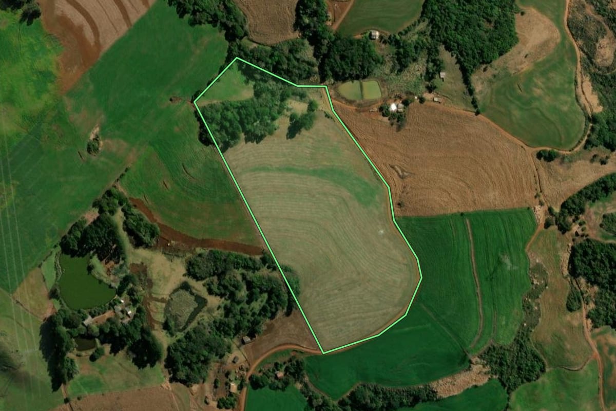 Imagem de satélite do imóvel rural em Clevelândia (PR), com o contorno declarado no CAR desenhado por cima.