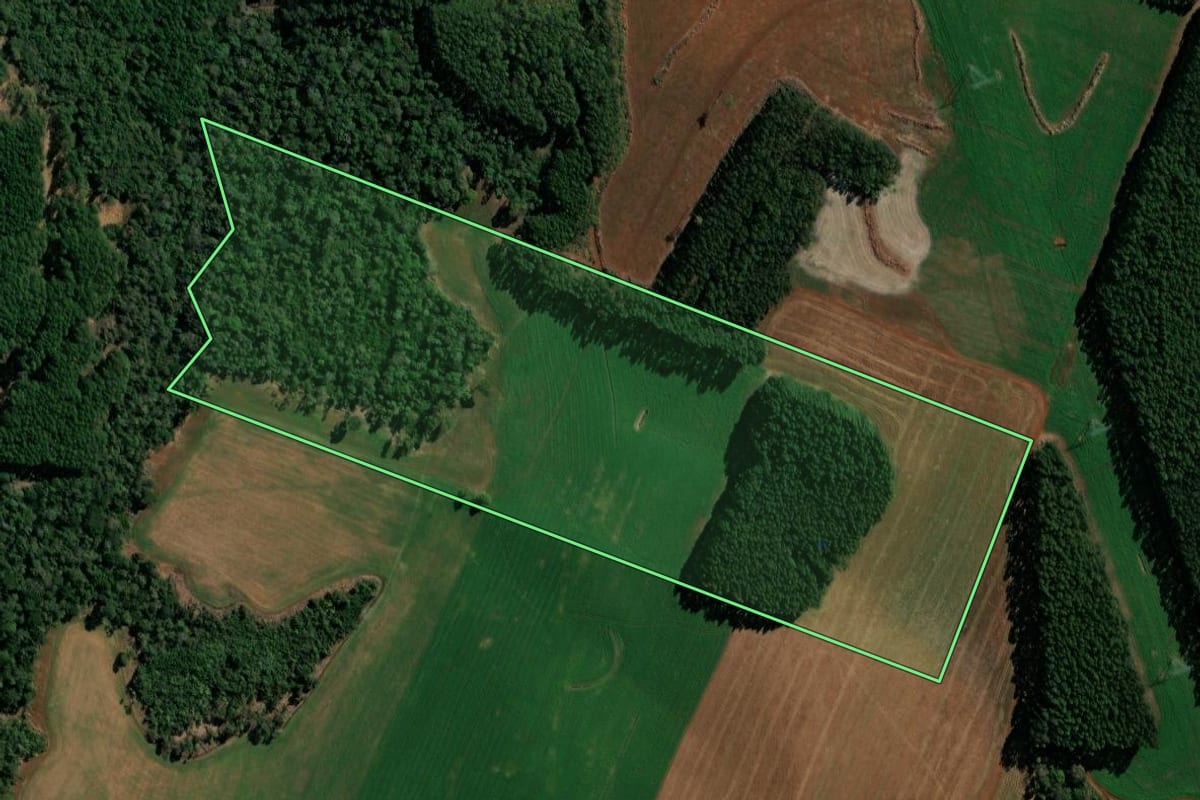 Imagem de satélite do imóvel rural em Clevelândia (PR), com o contorno declarado no CAR desenhado por cima.