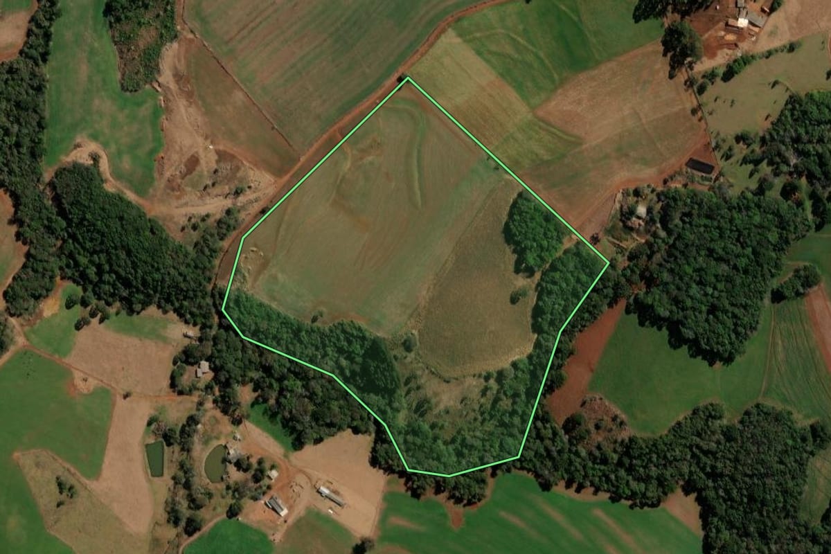 Imagem de satélite do imóvel rural em Clevelândia (PR), com o contorno declarado no CAR desenhado por cima.