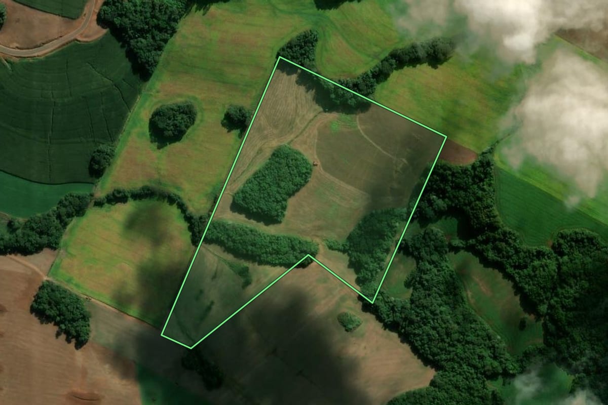 Imagem de satélite do imóvel rural em Clevelândia (PR), com o contorno declarado no CAR desenhado por cima.