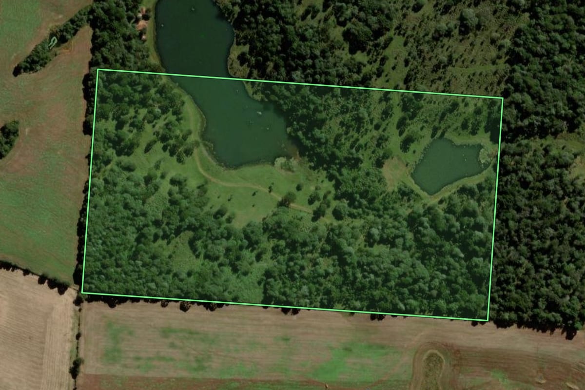 Imagem de satélite do imóvel rural em Clevelândia (PR), com o contorno declarado no CAR desenhado por cima.